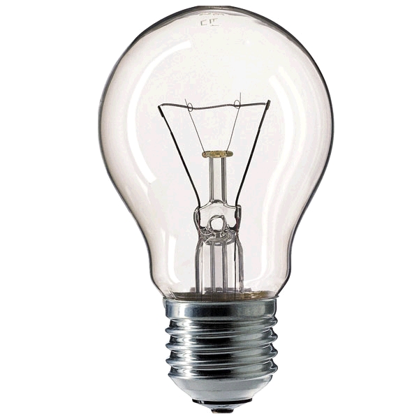 Внешний вид Лампа 12V E27 40,60W  10507(60 Вт)
